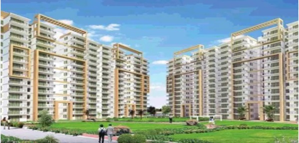 PIVOTAL RIDDHI SIDDHI