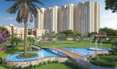 PAREENA COBAN RESIDENCES photo 2
