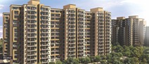 LANDMARK THE HOMES 81 photo 3