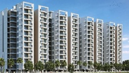 LANDMARK THE HOMES 81