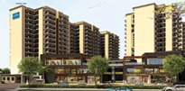 LANDMARK THE HOMES 81 photo 2