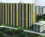 TULSIANI photo 2