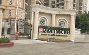 ATS MARIGOLD photo 3