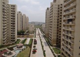 CHD AVENUE 71