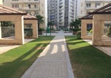 CHD AVENUE 71 photo 2
