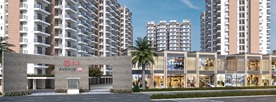 GLS AVENUE 86
