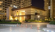 PARAS IRENE photo 3