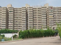 PYRAMID ELITE