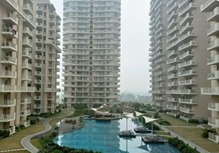 M3M MARINA photo 2